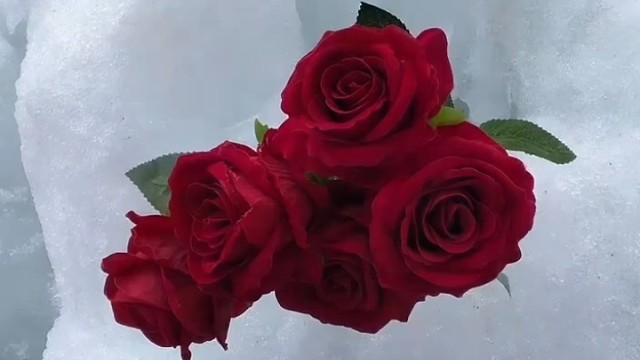 白与红