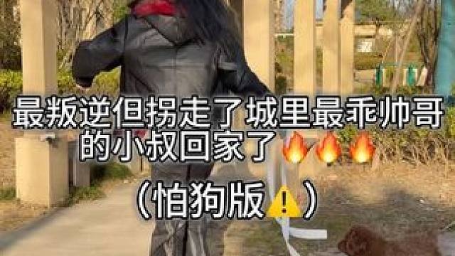 根本ooc不了 回复