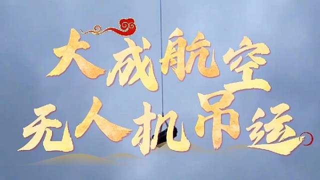 有吊运需求，就找大成航空吊运