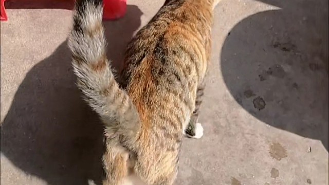 雾里看花终隔一层，应当不再执着