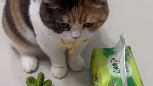 可爱
