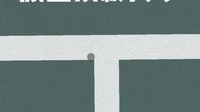 【2k素材分享】史上最极限的界内球