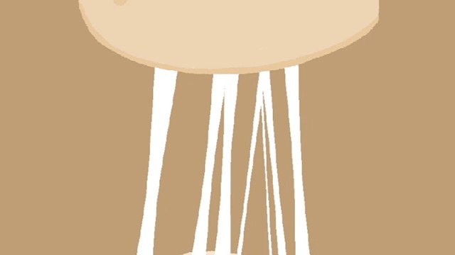 晚上10点半直播