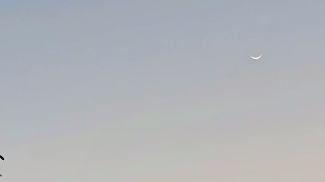 初来乍到新人 ，希望大家多多支持