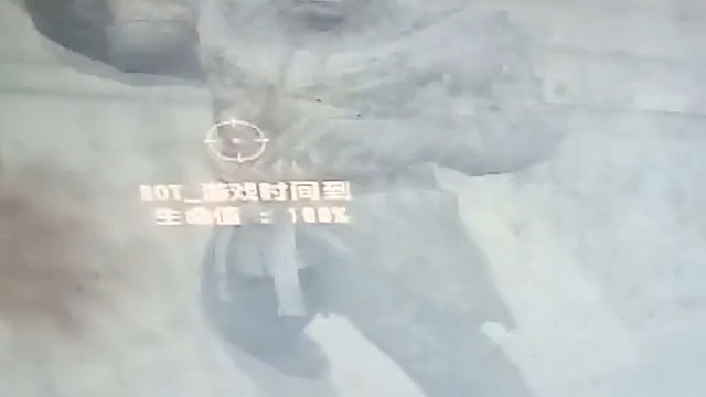 打人机生化模式