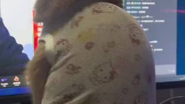 我家的猫每天非得看bbc和魔术杨的直播 魔兽争霸3观众视频投稿 #