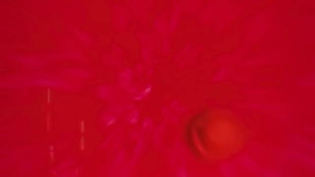 新中式国风繁花星红色新娘婚伞陪嫁伞时装汉服旗袍打卡伞