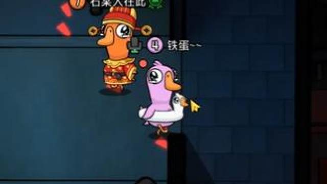 鹈鹕时刻！！！