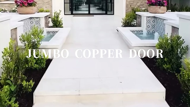 每次开启都是对法式美学的致敬#中宝天一铜门 #别墅门 #铜门 #上海