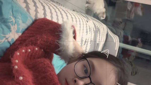 猫猫的家
