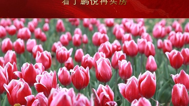 鹏悦锦绣嘉园B区