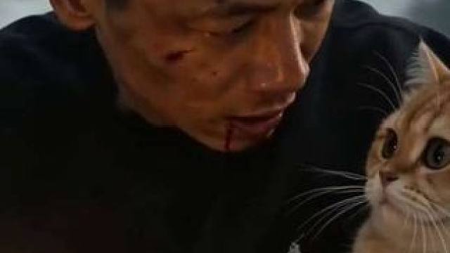 这是什么力量！