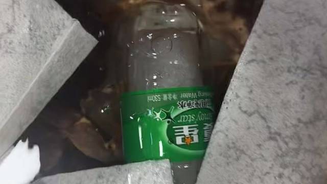 只做活鲜自助，富贵虾随便吃