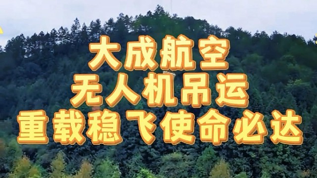 有吊运需求，就找大成航空吊运