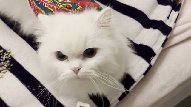 美金美金美金