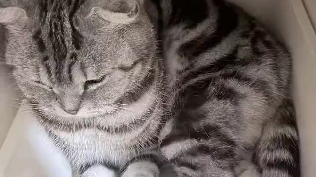 你像礼物一样出现在我的生命里 每天都让我好开心