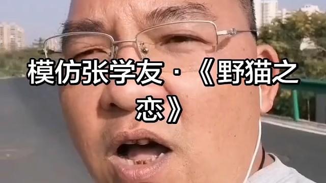 张学友经典再现《野猫之恋》模仿版
