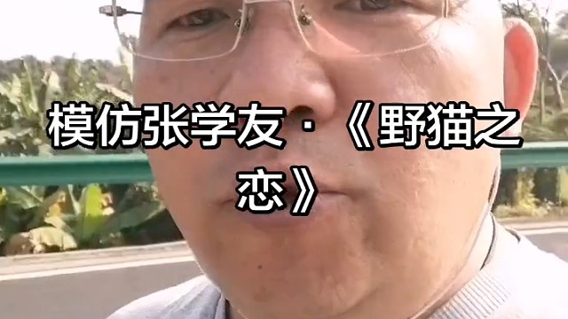 张学友经典再现《野猫之恋》模仿版