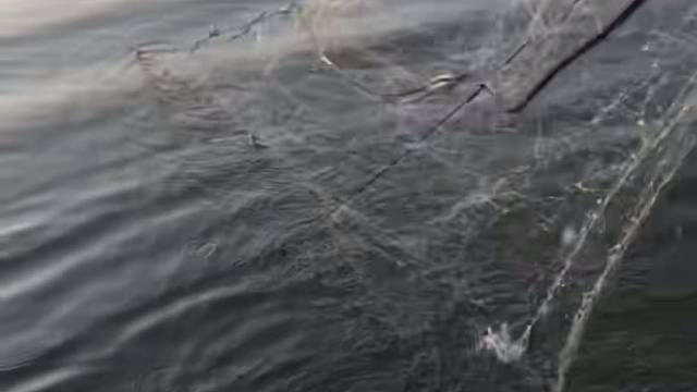 #户外捕鱼大队 #捕鱼河边随拍 #捕捞现场  #丝网捕鱼