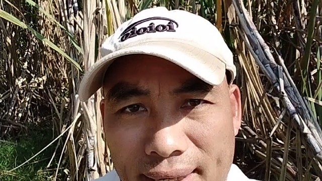 家兴人旺龙凤来！