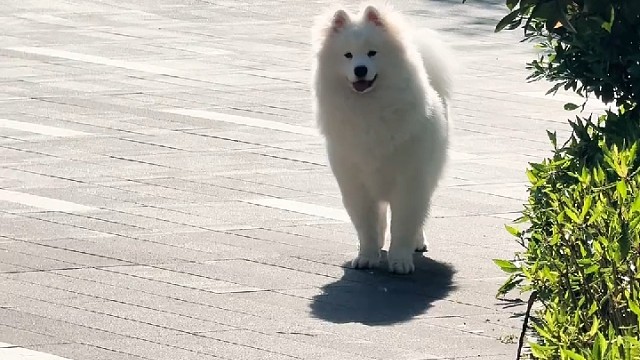 嘿下一秒向你靠近