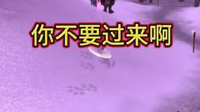 你不要过来啊！