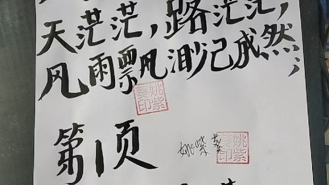 《茫茫》作者（原创）姚紫葵 2026年3月13日作