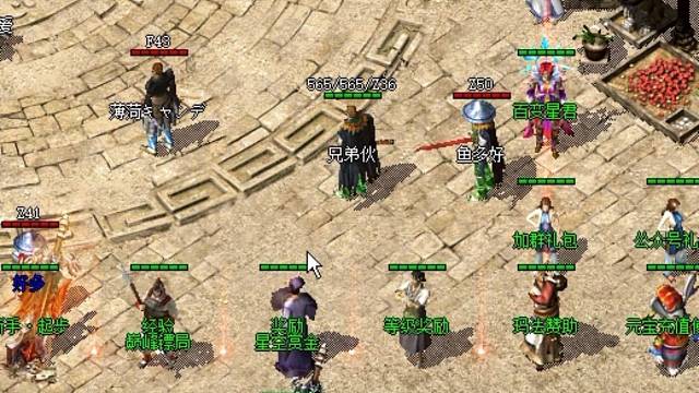 新手小白起步！