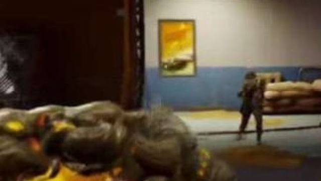 “给你看一眼再把你送回仓库”