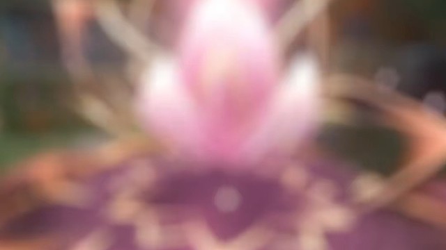 此局全力以赴，定要战至最后一刻​