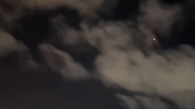 希望世界和平
