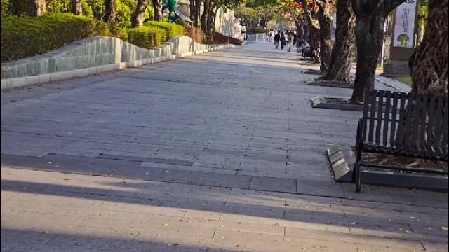 阳光把影子裁成两半，
一半是春，一半是旧梦