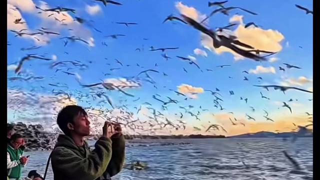 新手报道，请多指教