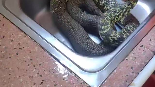 美食