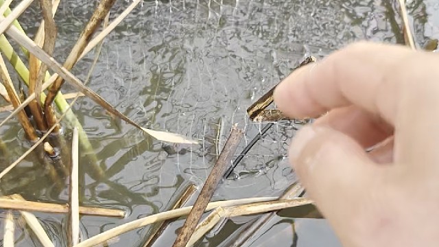 花篮爆网真过瘾