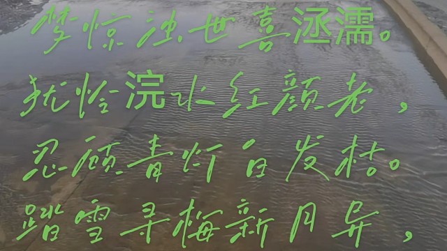 痴 情 总 是 埋 骨 殇
            囗 雪 莹