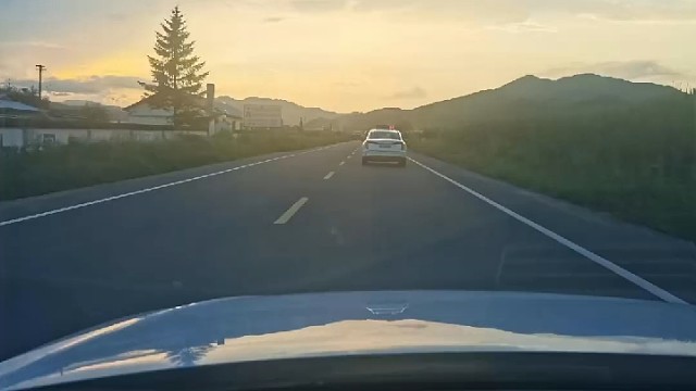 树是生活，埋的是我，看花就好，别看我落魄