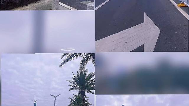 一起去有风的地方