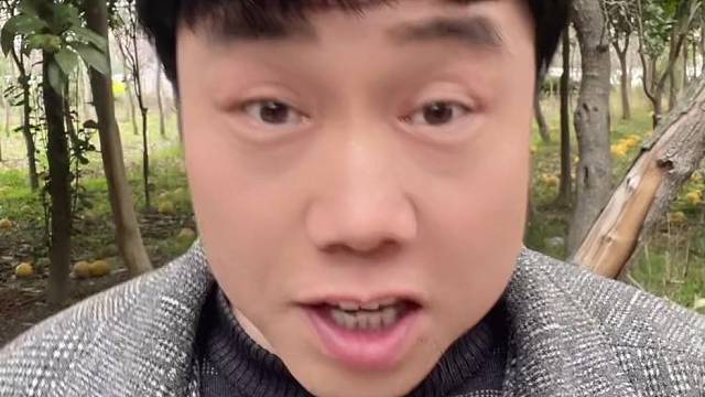 你不要错过我这一款