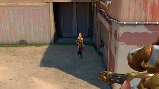 我从不打简单标