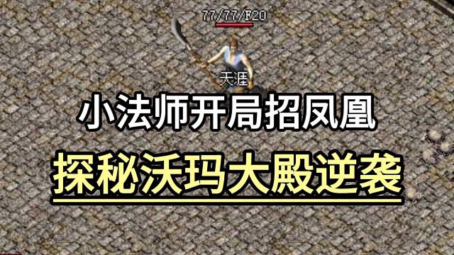 小法师开局招凤凰，探秘沃玛大殿逆袭