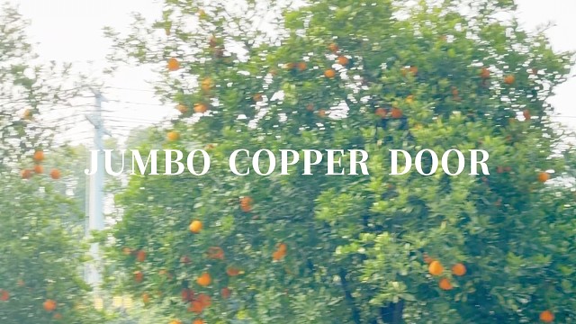 欧式玻璃铜门，把豪宅档次拉满