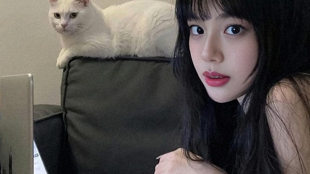 小猫咪