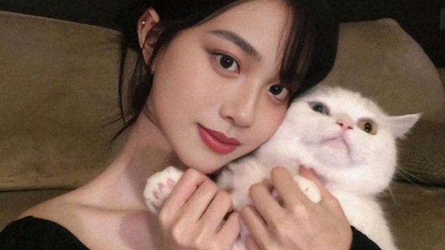 小貓咪