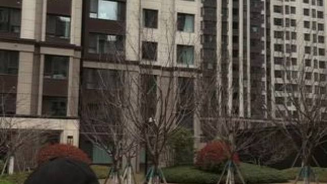 哈哈 春季里么就到了这 好洗脑