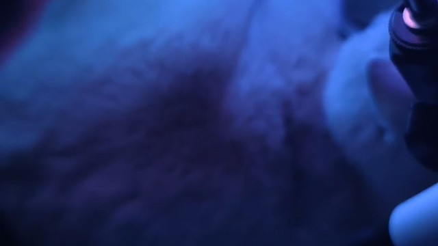 猫猫
