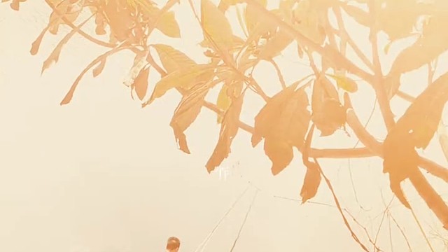 风景虽好！但少了一个你！