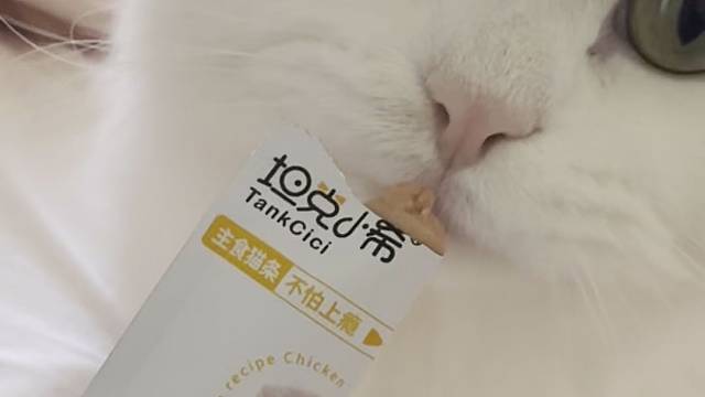 美金美金美金
