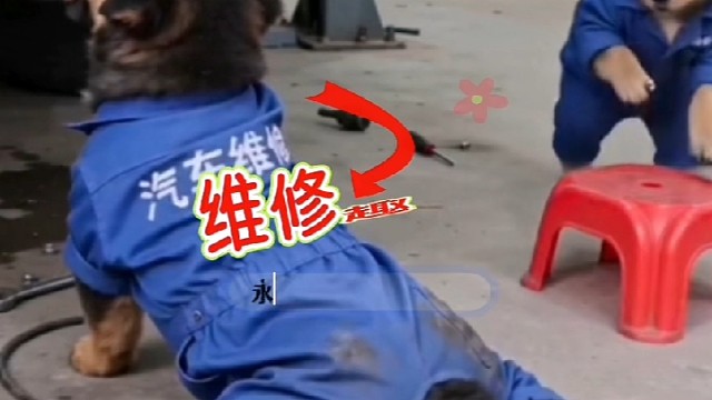 #这就叫专业  #这就是我们的日常生活  #这小伙子有点东西  #看热闹不嫌事大 #导航中控雷达定