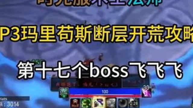 术士法师P3玛里苟斯断层开荒攻略 第十七个boss飞飞飞 魔兽世界
